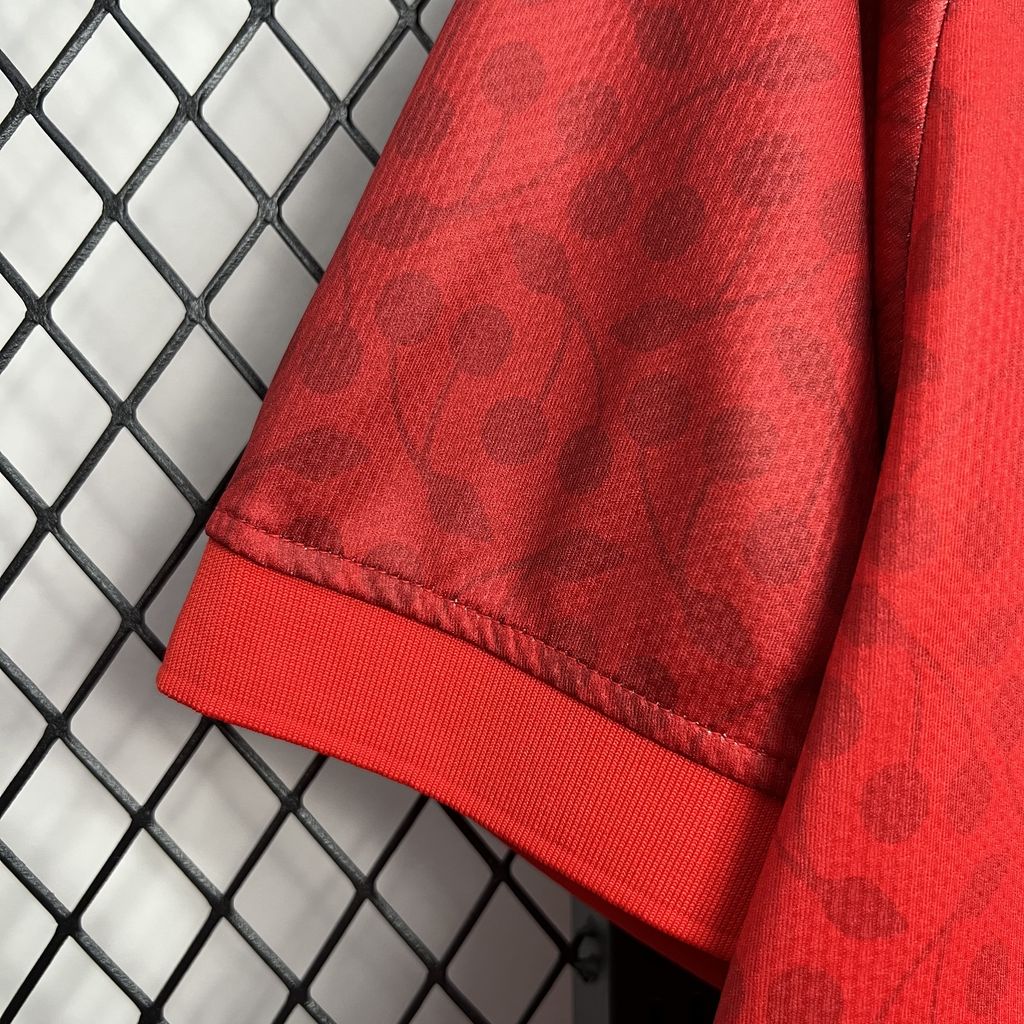 foot-Bournemouth 24-25 Pre-Season Away Jersey - Fans Version