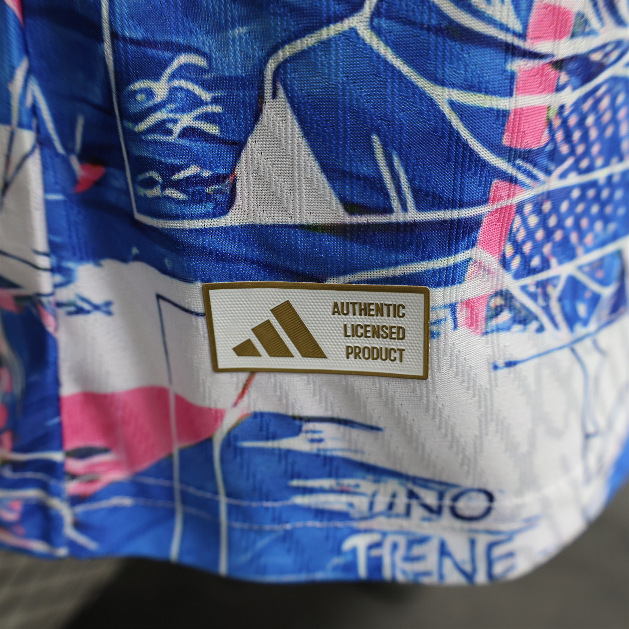 ManixJersey.com | Japan 2024 Bejita Blue Special Edition Jersey - Player Version -Customize Name, Number and Patch | Worldwide Shipping