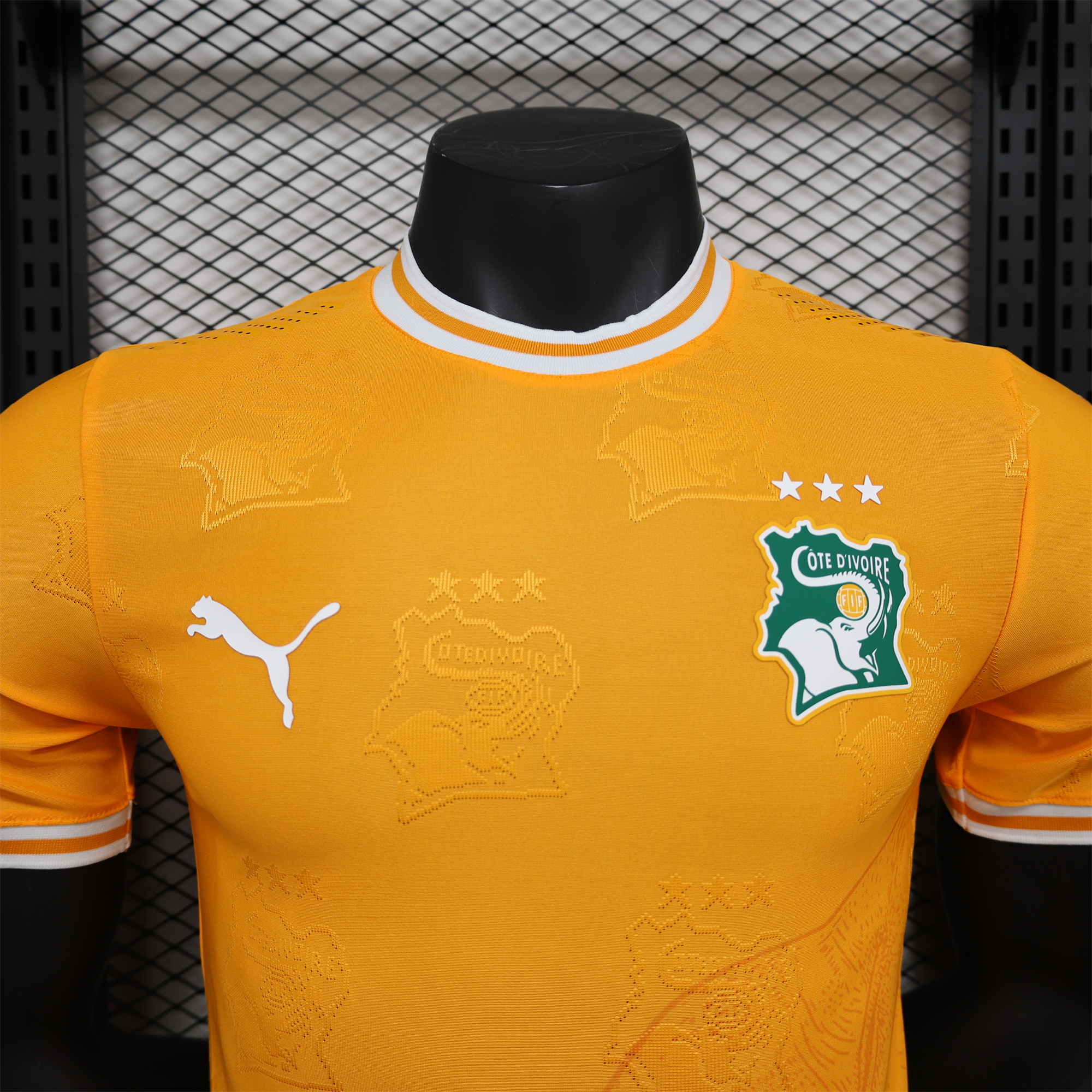 ManixJersey.com | Ivory Coast 2024 Orange Elephant Special Edition Jersey - Player Version -Customize Name, Number and Patch | Worldwide Shipping