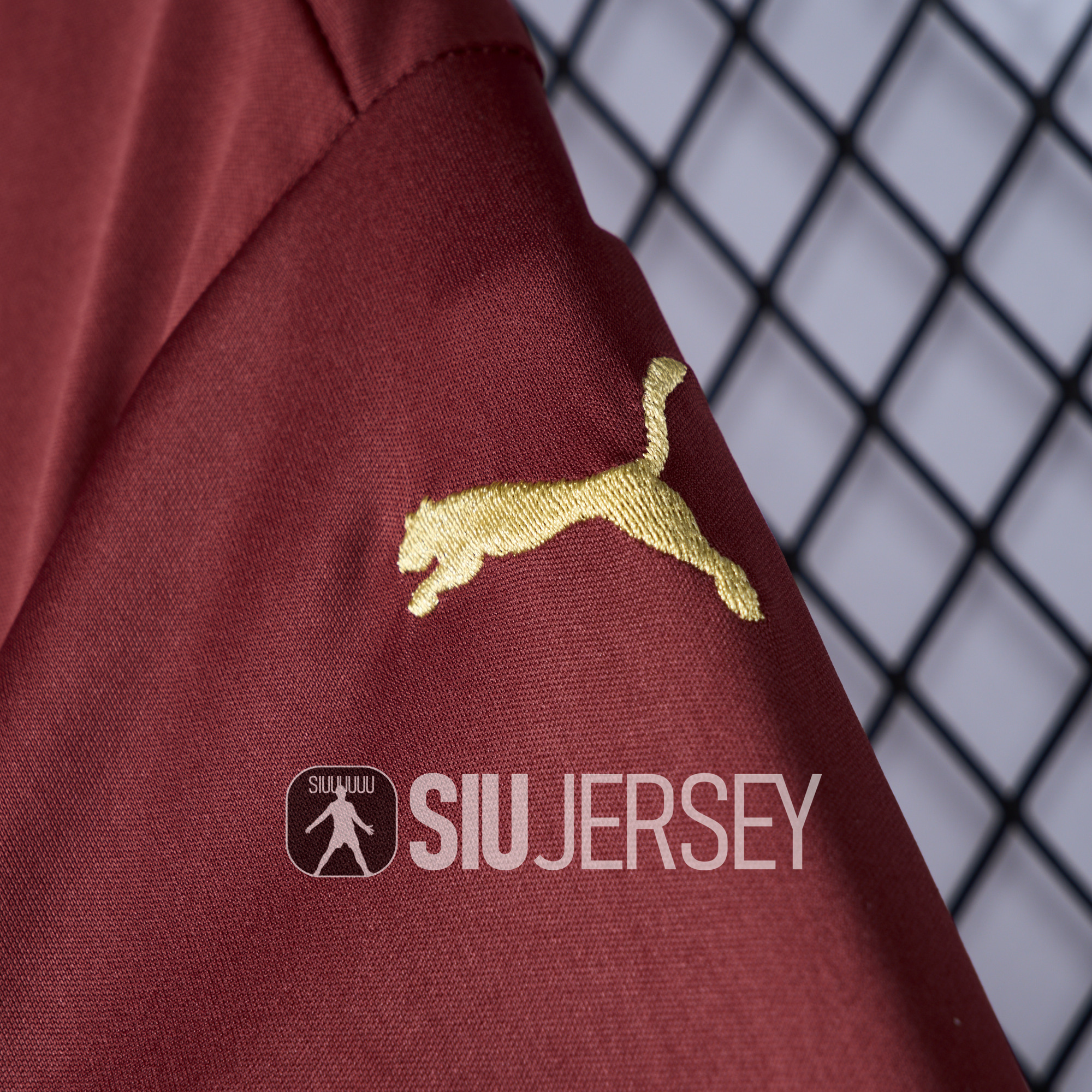 SIUjerseys-RB Leipzig 24-25 Jingle Special Jersey - Fans Version