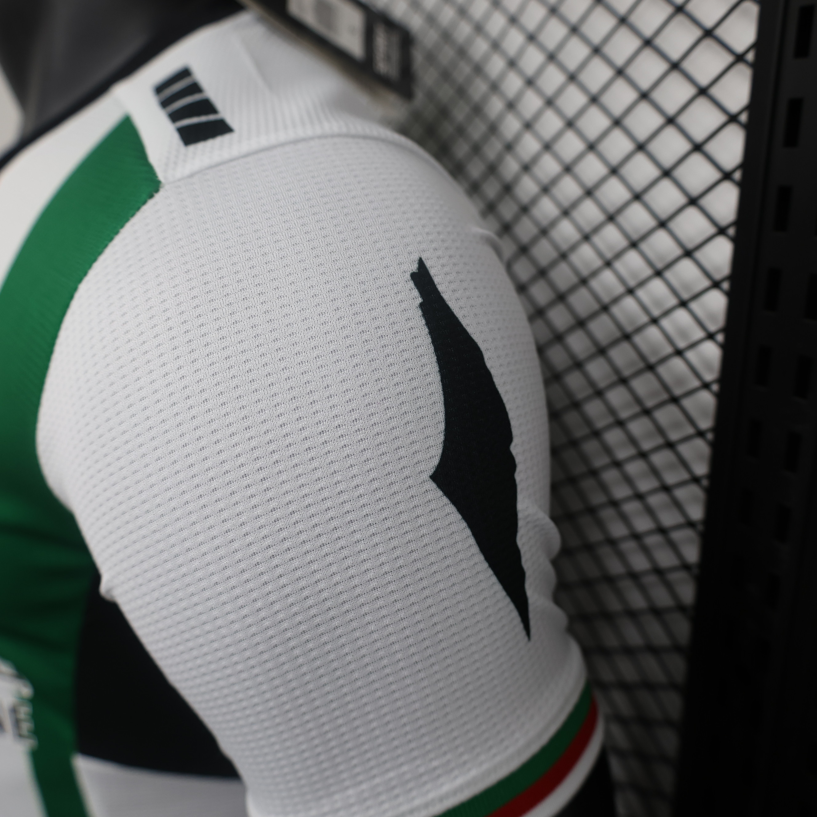 SIUjerseys-Club Deportivo Palestino 2024 Home Jersey - Player Version