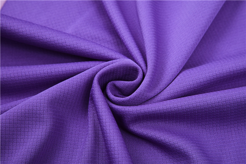 ManixJersey.com | Germany 2024 Short-Sleeve Training Set - Purple -Customize Name, Number and Patch | Worldwide Shipping