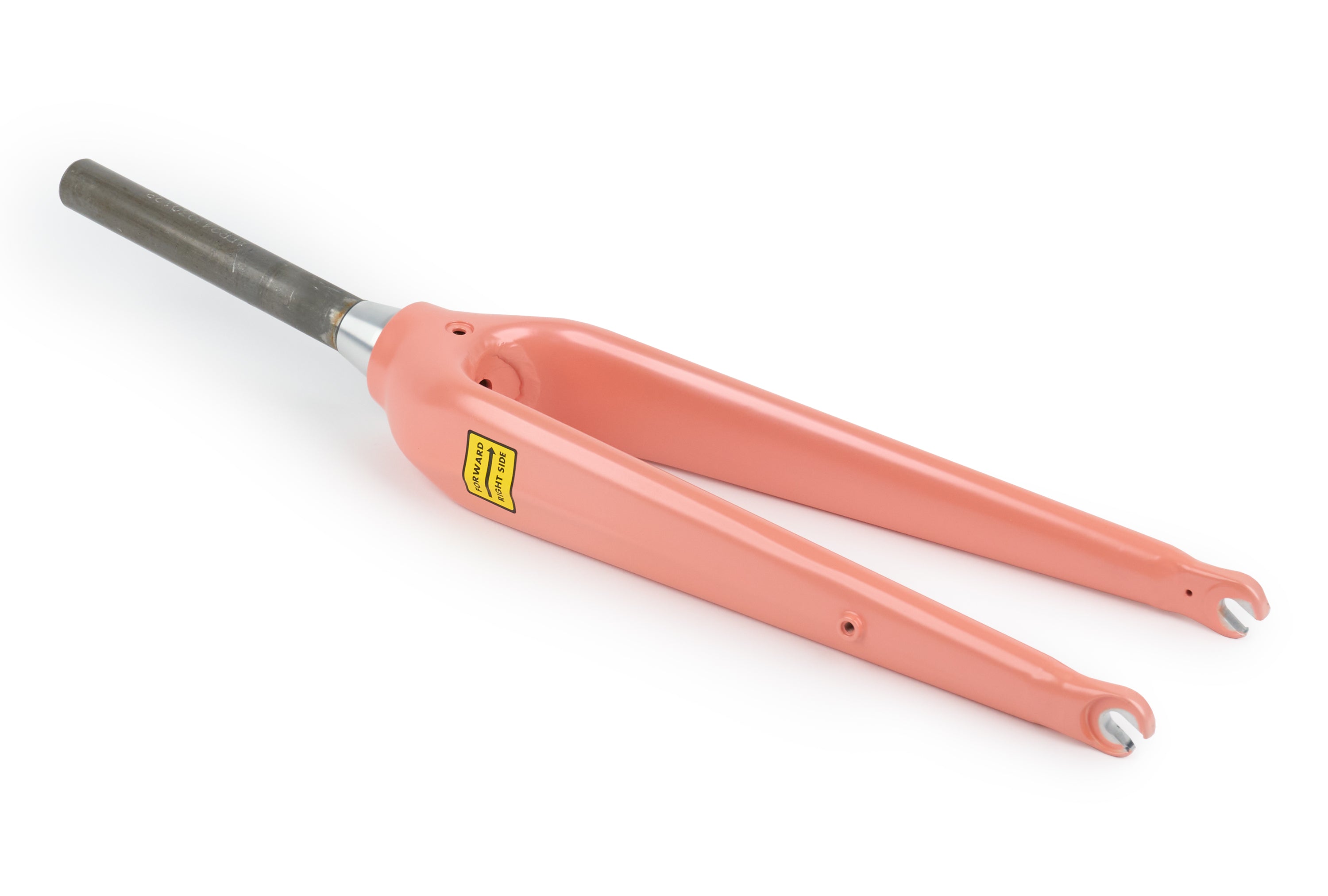 Aventon Fork、mySite、bearsvspackers