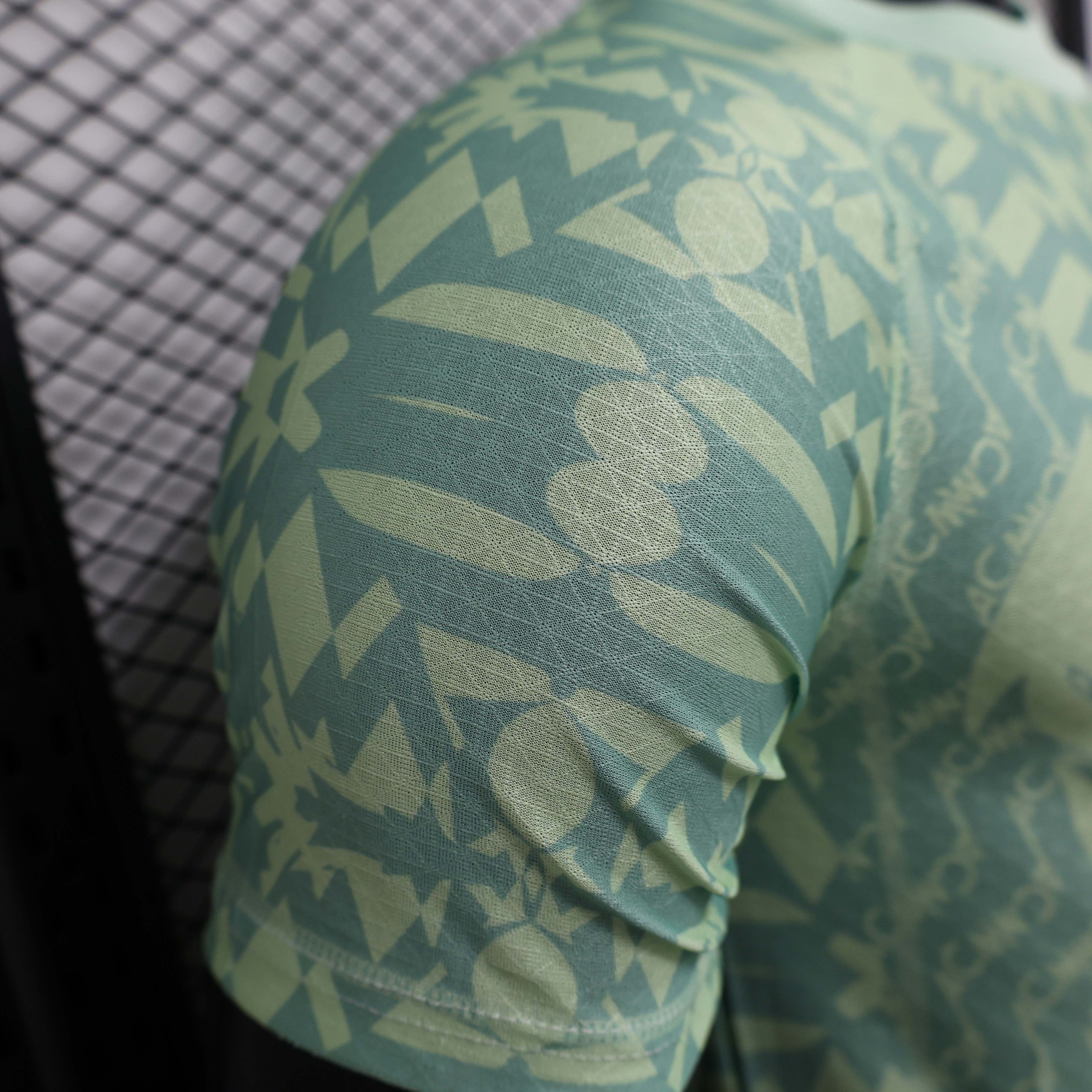 2024/2025 Player Version AC Milan Special Edition Green Soccer Jersey 1:1 Thai Quality:football jersey mysite: unitedjerseyfootball 邓江浪:football