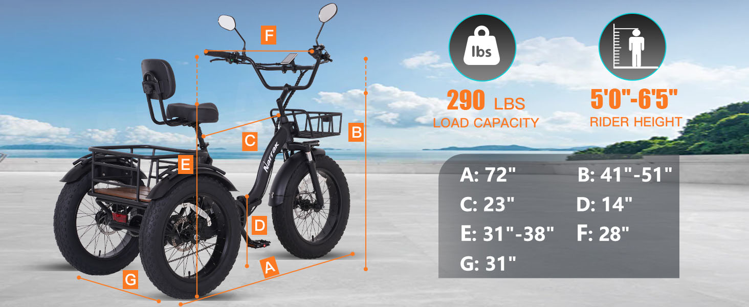 electric trike for adults