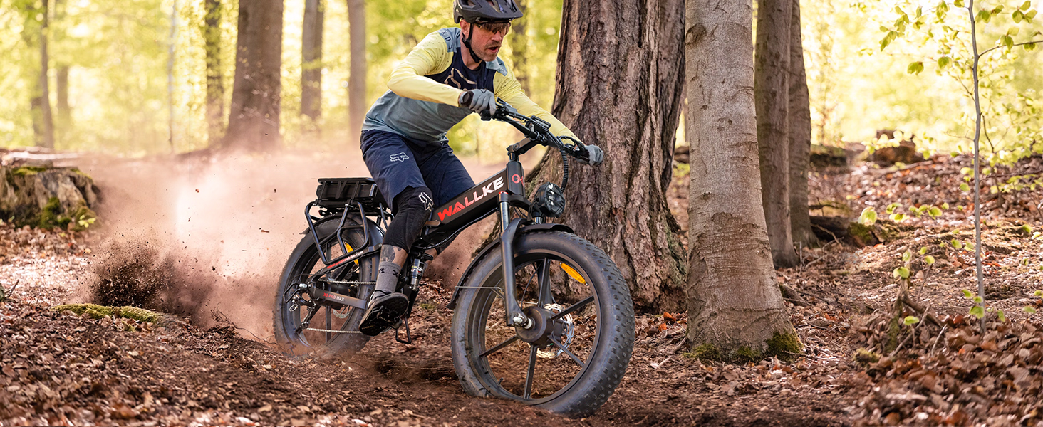 electric bike