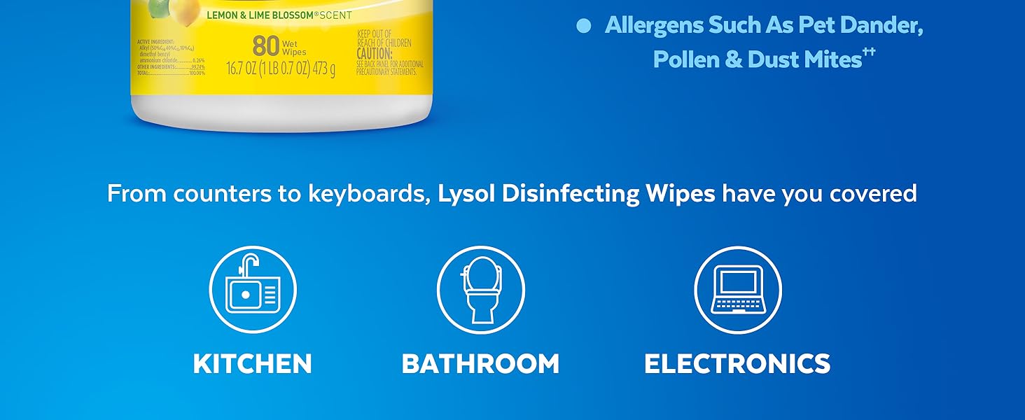 wet wipes teacher supplies overnight delivery lysol all purpose cleaner disinfectant spray