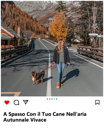 a woman walking her dog on a road in italy