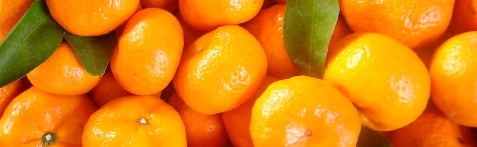 Mandarin Oranges Short Banner