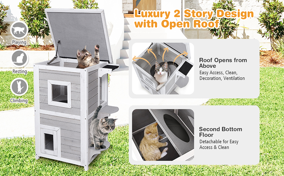 Outside Cat Shelter