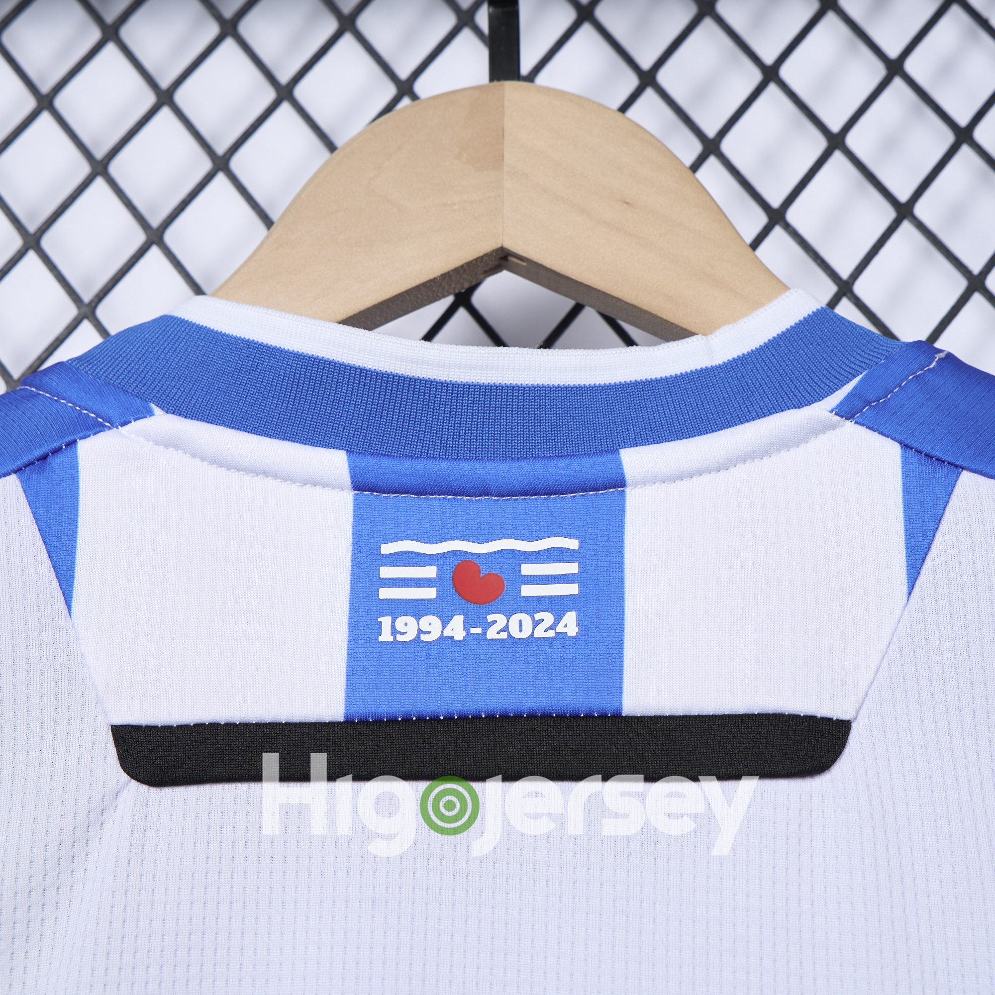 Higojerseys-SC Heerenveen 24-25 Home Jersey - Fans Version