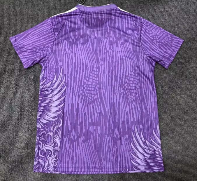 2024/2025 Liverpool Special Edition Purple Soccer Jersey 1:1 Thai Quality:football jersey mysite: unitedjerseyfootball 邓江浪:football