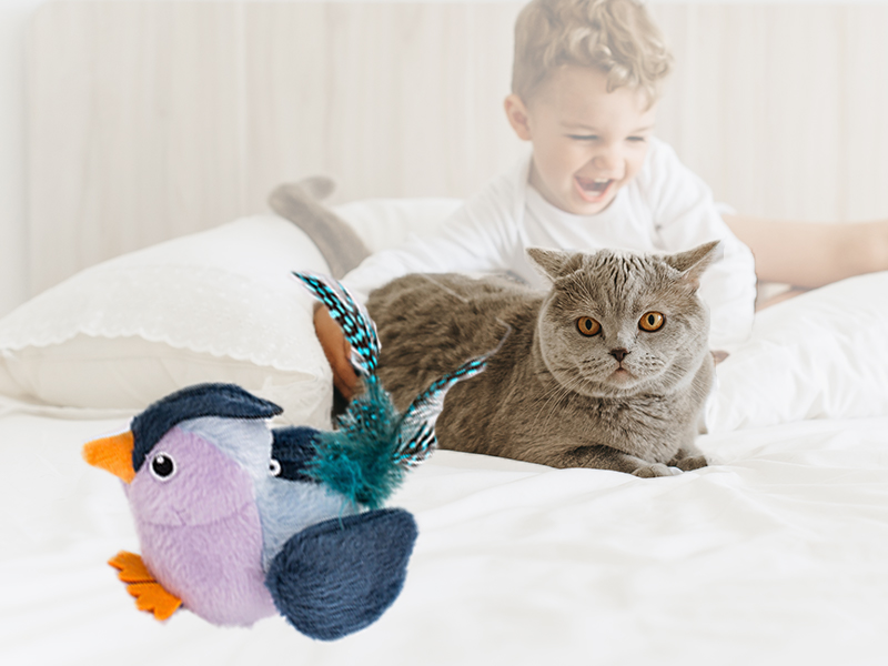 aplus content image