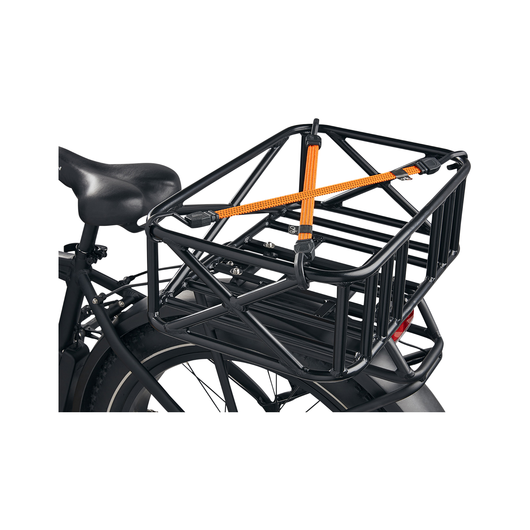 Cargo Straps、mySite、bearsvspackers