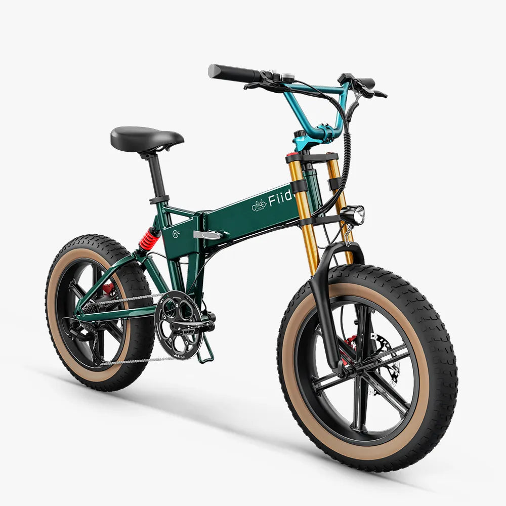 Fiido M1 Pro Fat Tire Electric Bike、mySite、bearsvspackers