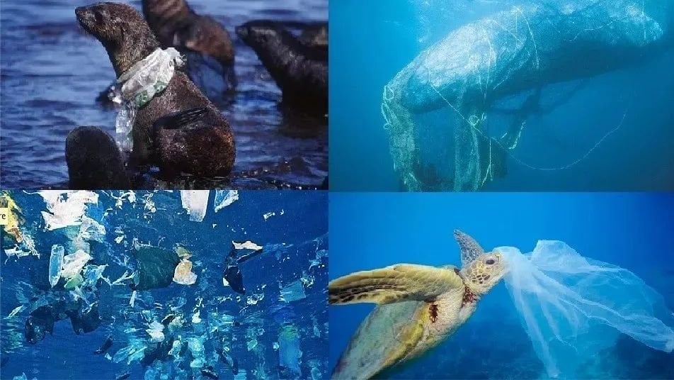 Last Day Buy 3 Get 5- Leak Proof Protective Panties 42 dde9d3741fb765cbd46611e91646b58cde31100e