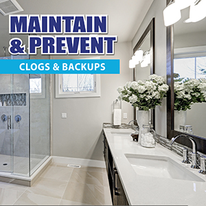 Clean see-through glass shower and long bathroom vanity with white roses in a white vase.