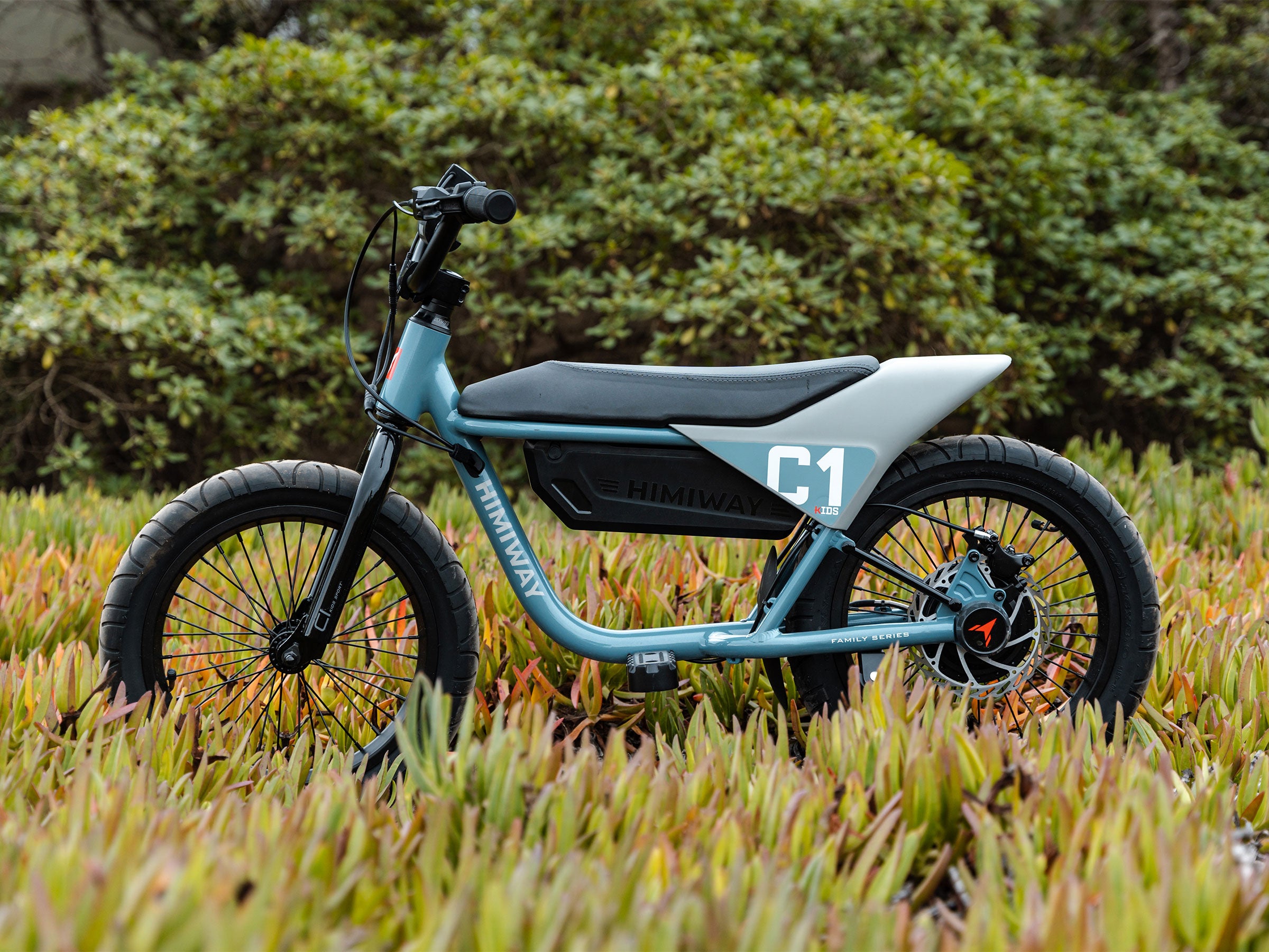 C1 / Kids Electric Bike – Perfect eBike for Kids!、mySite、bearsvspackers