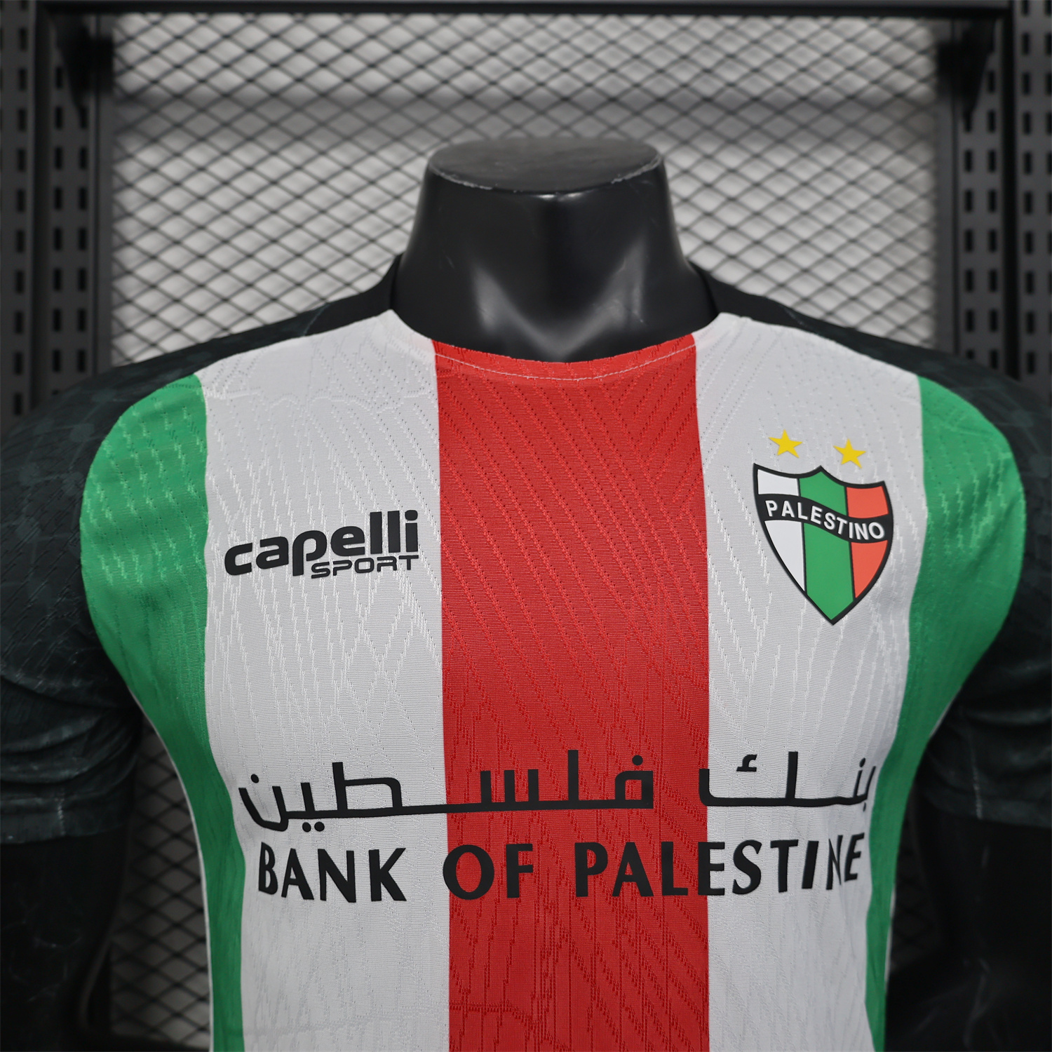 foot-Club Deportivo Palestino 25-26 Home Jersey - Player Version