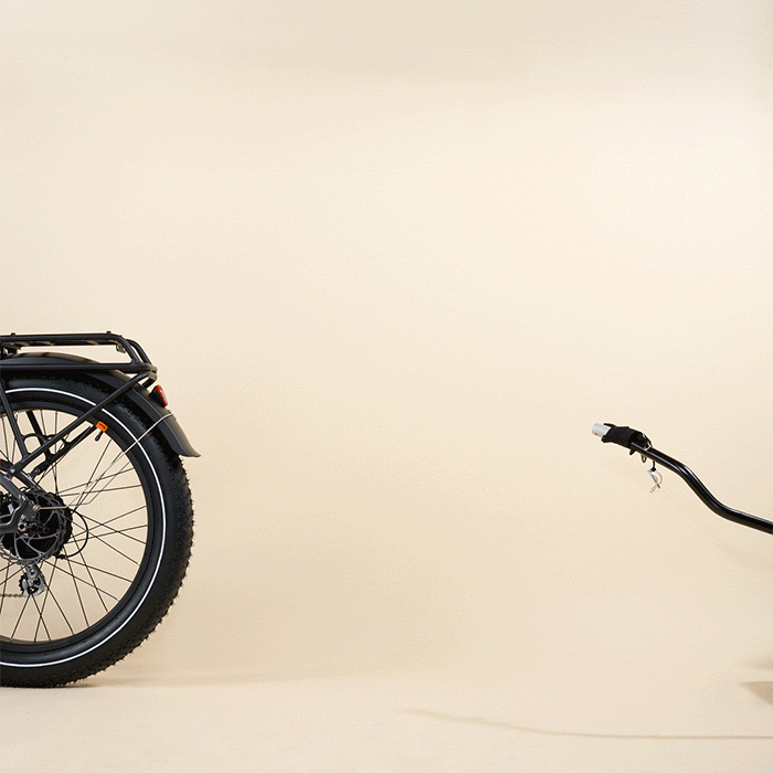 Rad Trailer、mySite、bearsvspackers