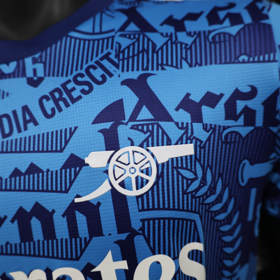 25/26 Arsenal Special Edition Football Jersey- Player Version: Ajax 24-25 Home Stadium Jersey - Fans Version mysite: Adidas luxuryfootballshirts.com: https://www.luxuryfootballshirts.com/