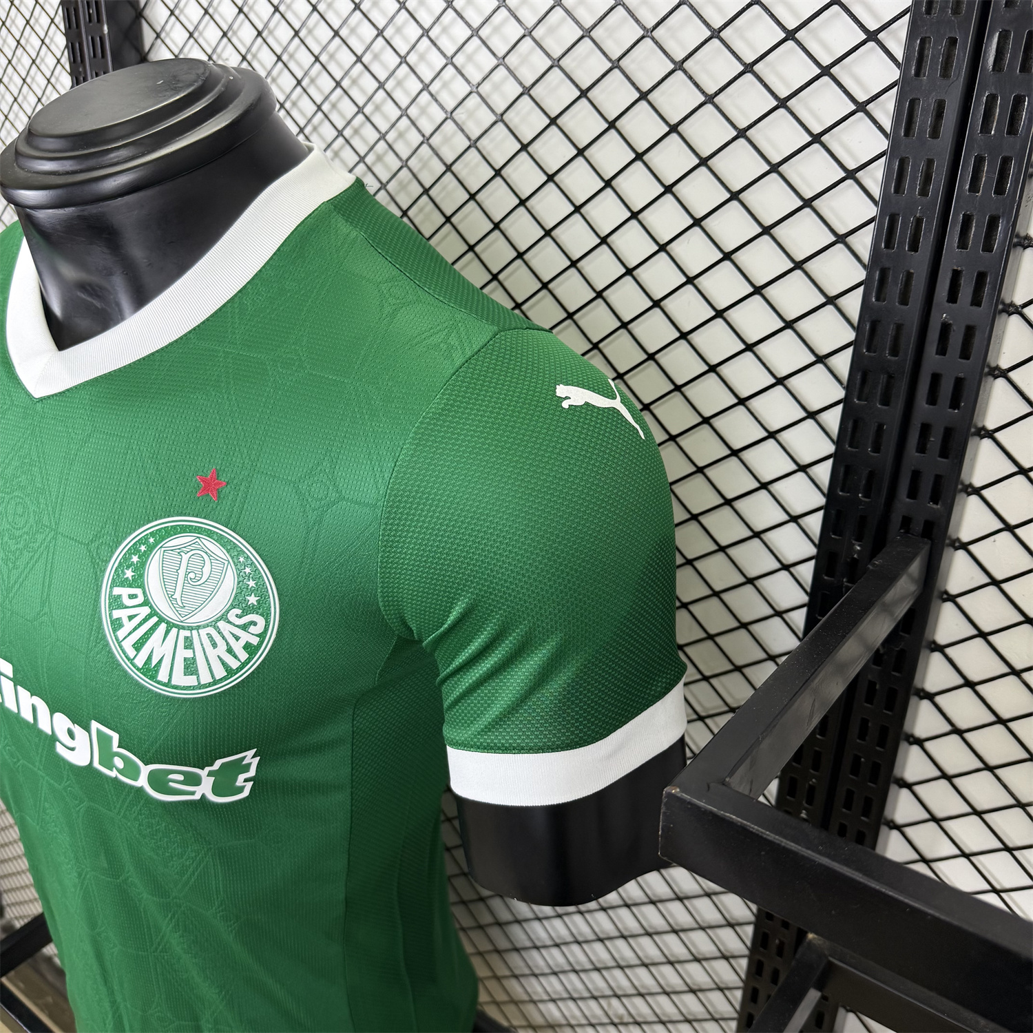foot-Palmeiras 2025-26 Home Jersey - Player Version