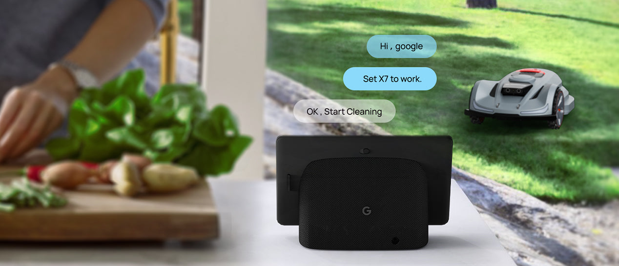 Voice Control