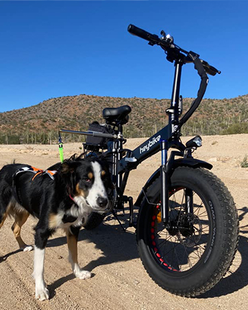 electric fat bike