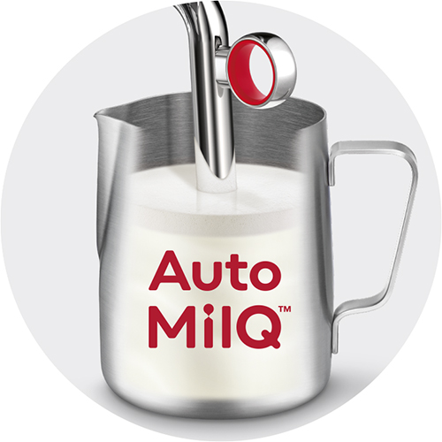 Auto MilQ