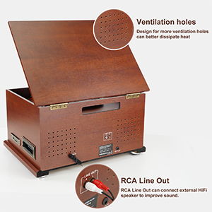 RCA LINE OUT TO CONNECT EXTERNAL SPEAKERS