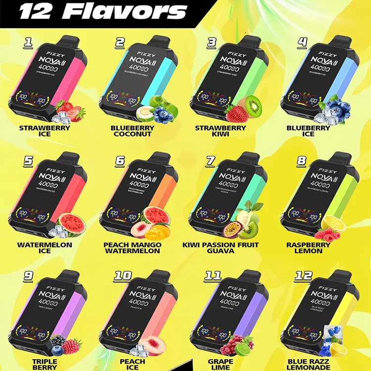 Fizzy Nova Plus Flavor Chart - 12 Disposable Vape Flavors