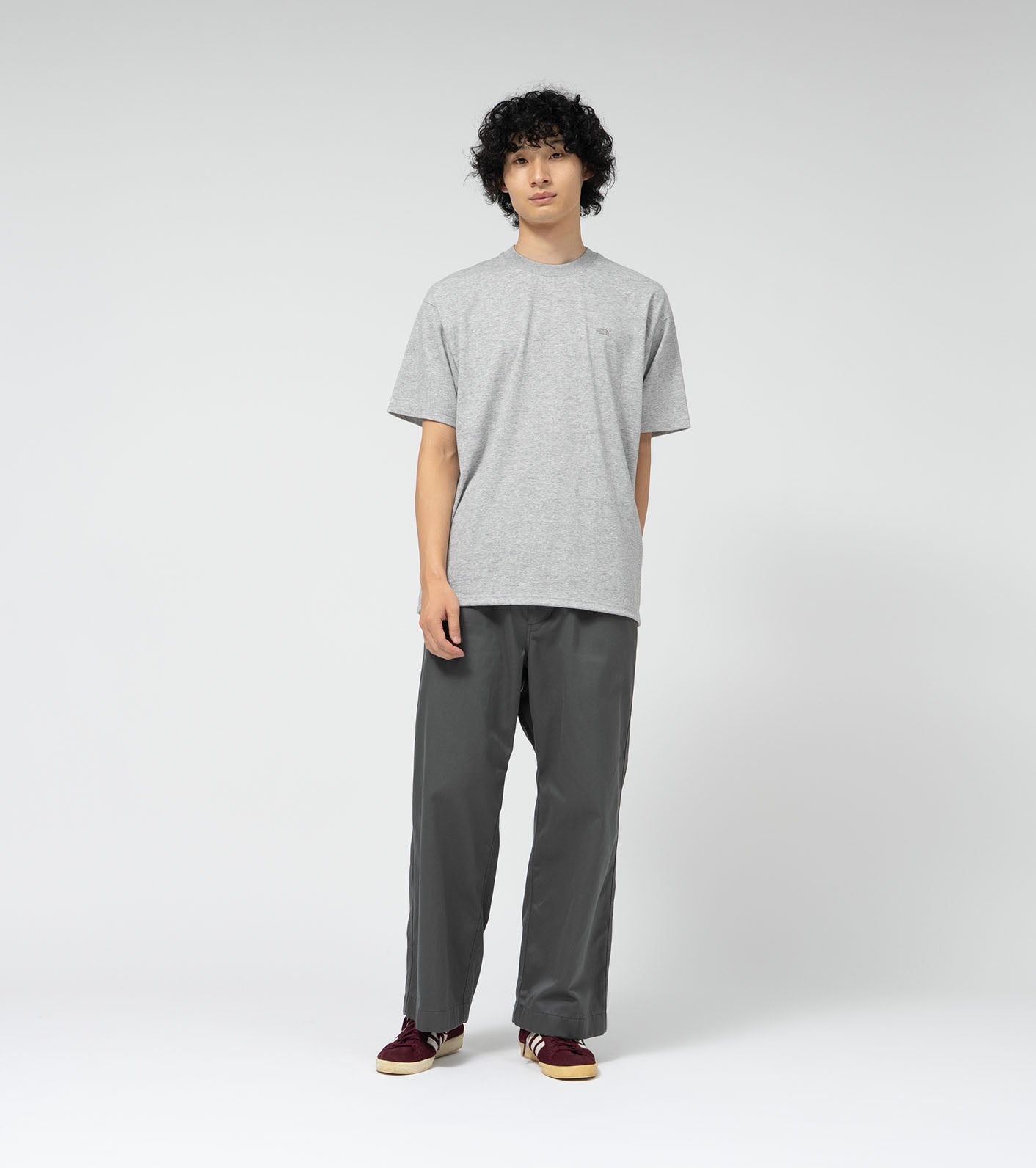 THE NORTH FACE PURPLE LABEL Field Tee  N25SH089 
