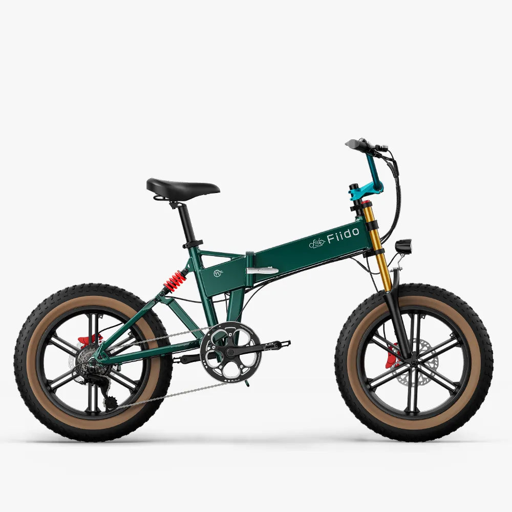 Fiido M1 Pro Fat Tire Electric Bike、mySite、bearsvspackers