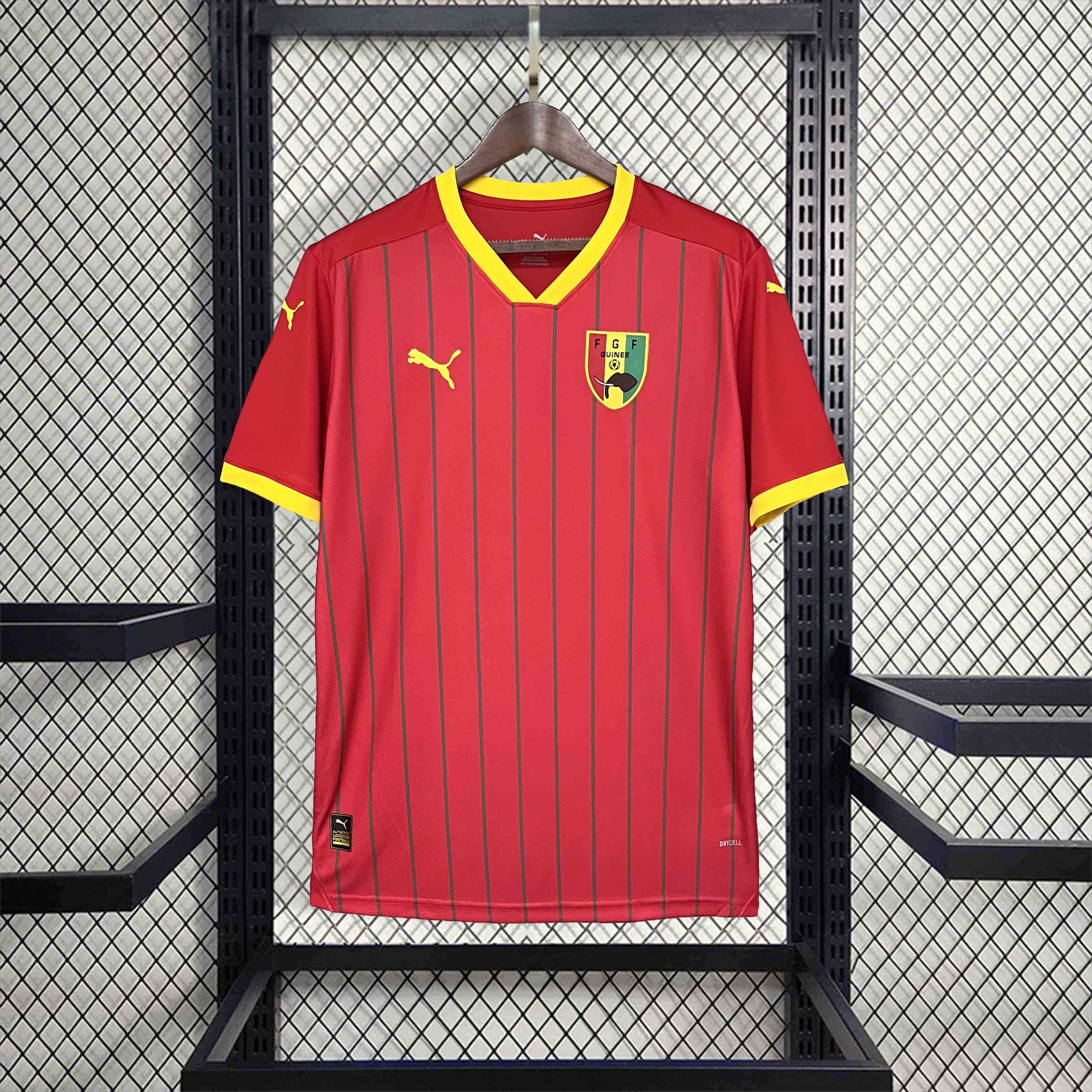 GlobeJersey-Guinea 2024 Home Stadium Jersey - Fans Version