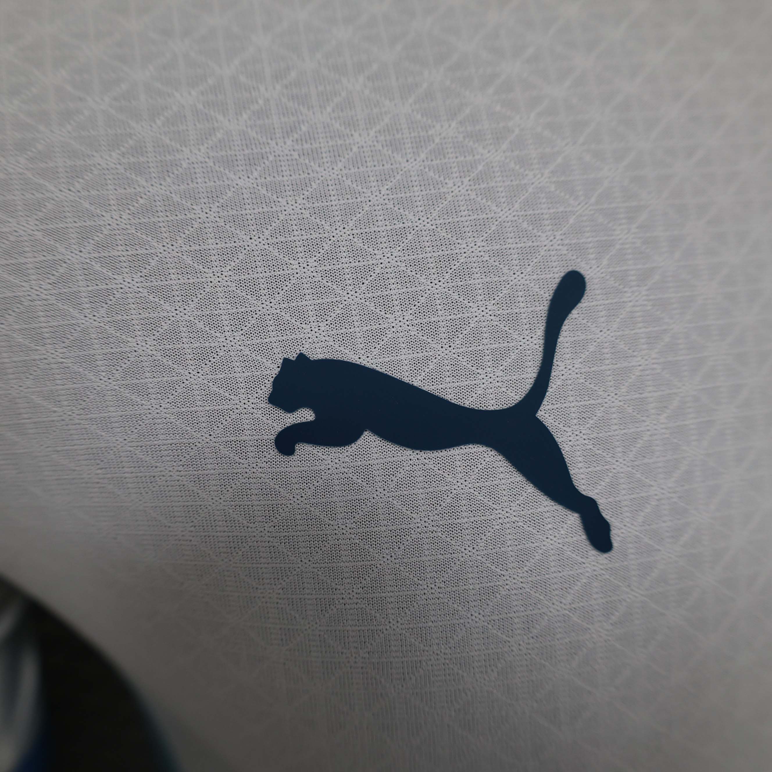 2024/2025 Player Version Olympique de Marseille Home Football Shirt 1:1 Thai Quality:football jersey mysite: unitedjerseyfootball 邓江浪:football