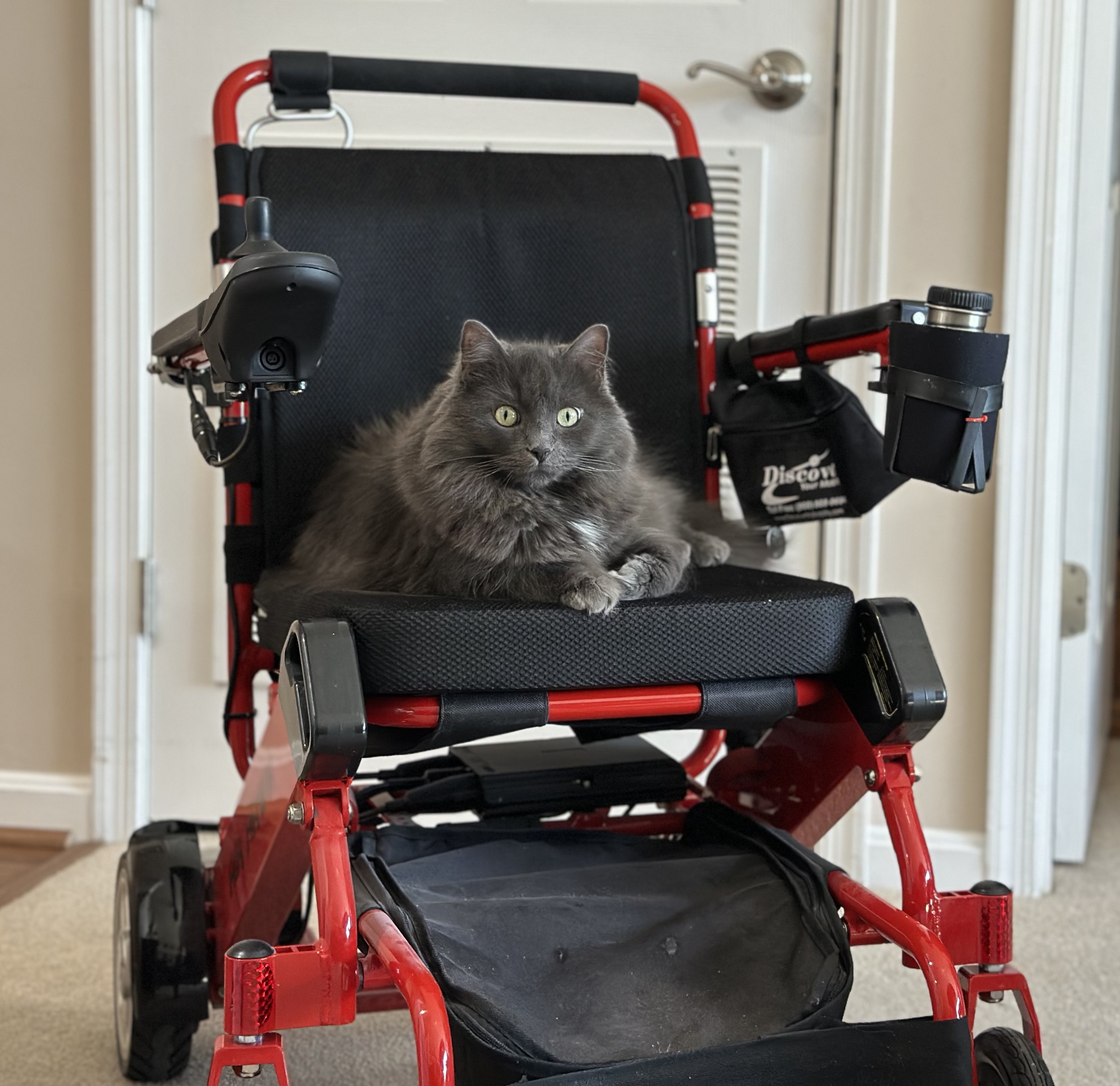 Air hawk wheelchair testimonial