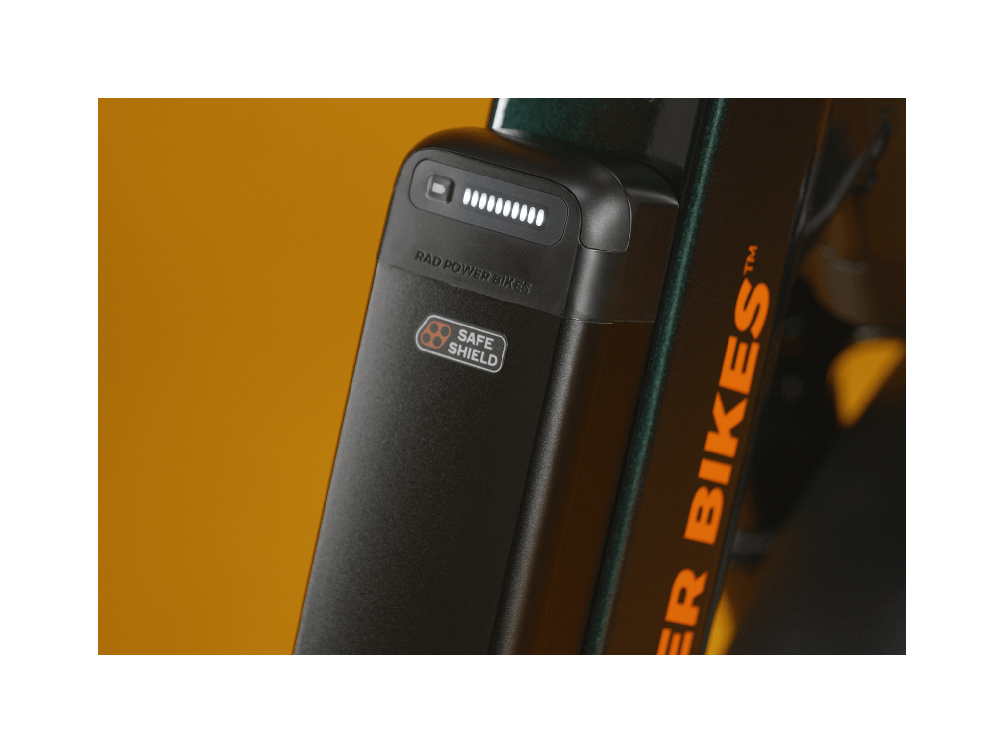 RadRunner™ Max Electric Cargo Utility Bike、mySite、bearsvspackers