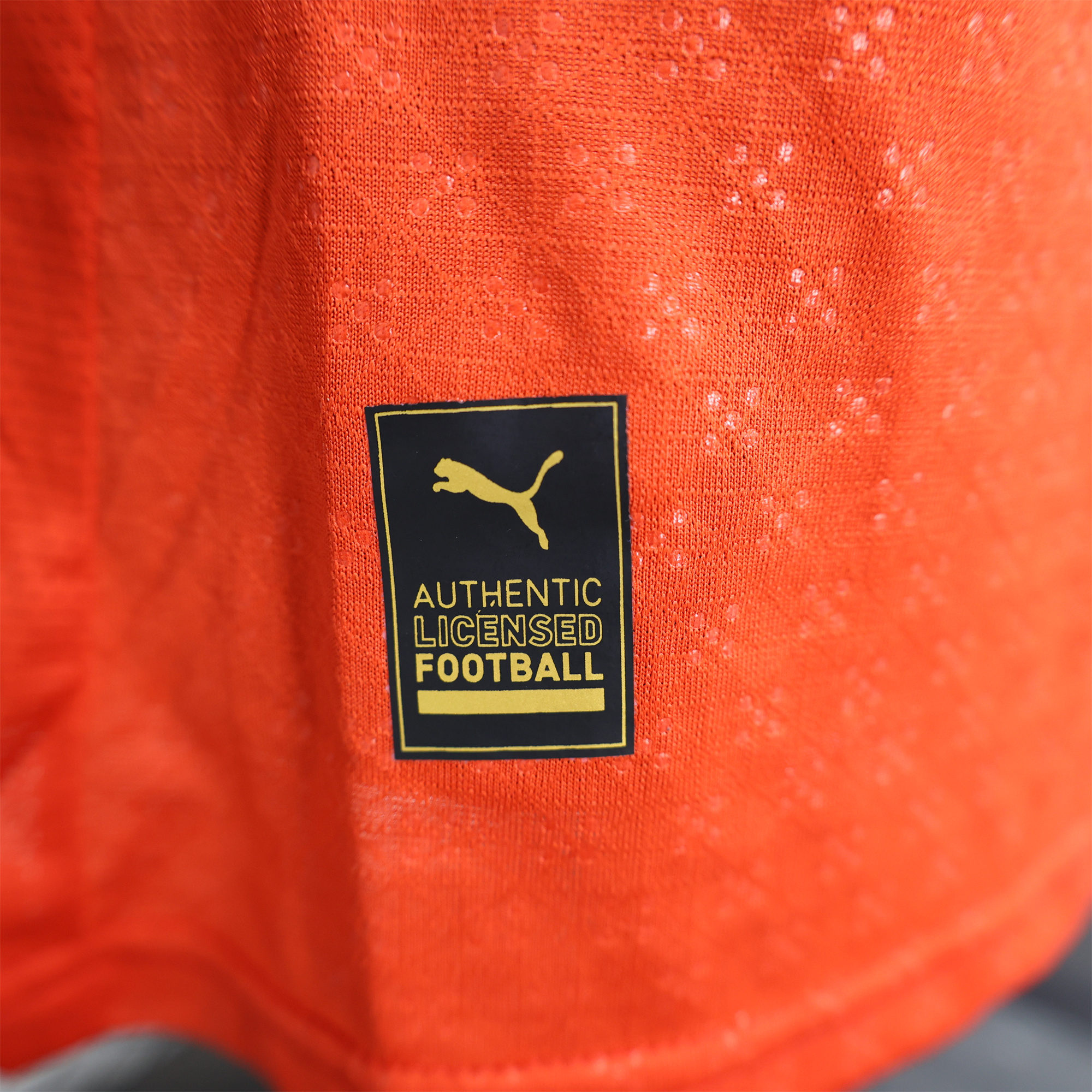 Higojerseys-Portugal 2025-26 Home Long Sleeve Jersey - Player Version