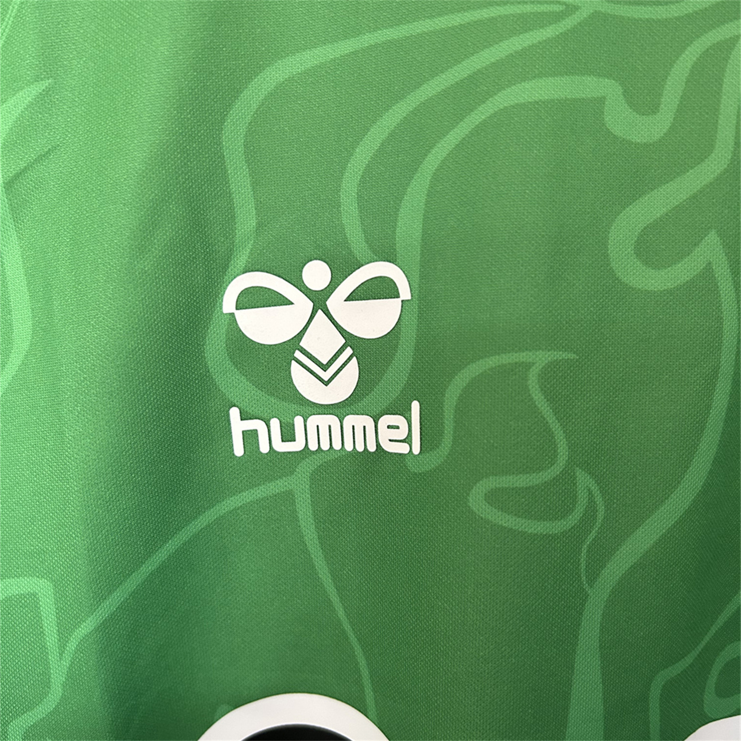 foot-Real Betis 25-26 Snake Year Special Edition Jersey - Fans Version