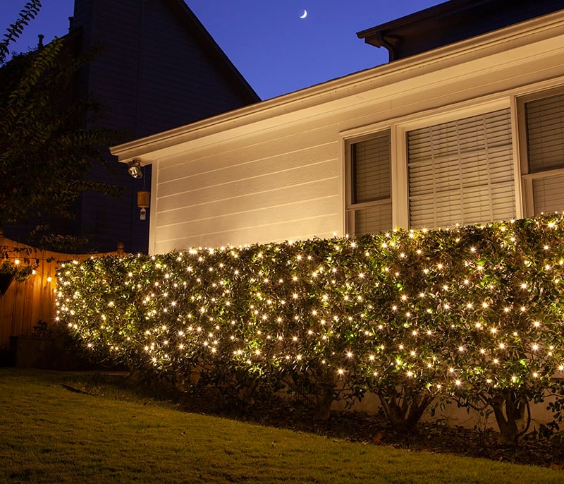 Net Lights on Bushes