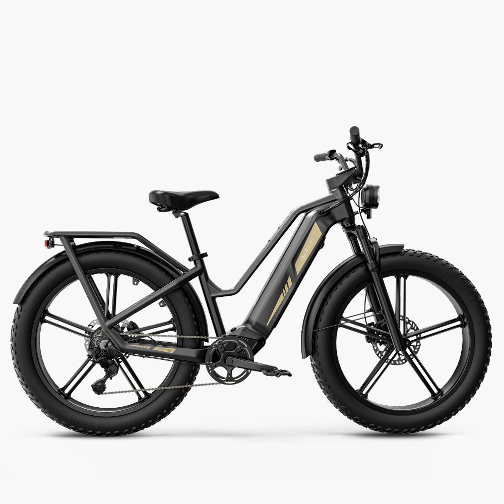 Titan Fat Tire Touring Ebike - Long Range、mySite、bearsvspackers