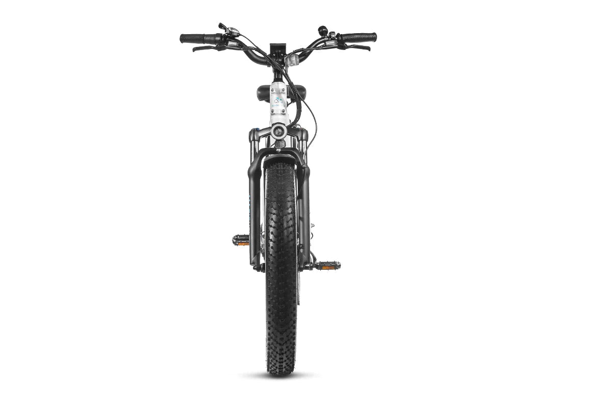 Bundle Sale - Magicycle Cruiser Pro E-Bike x 2、mySite、bearsvspackers