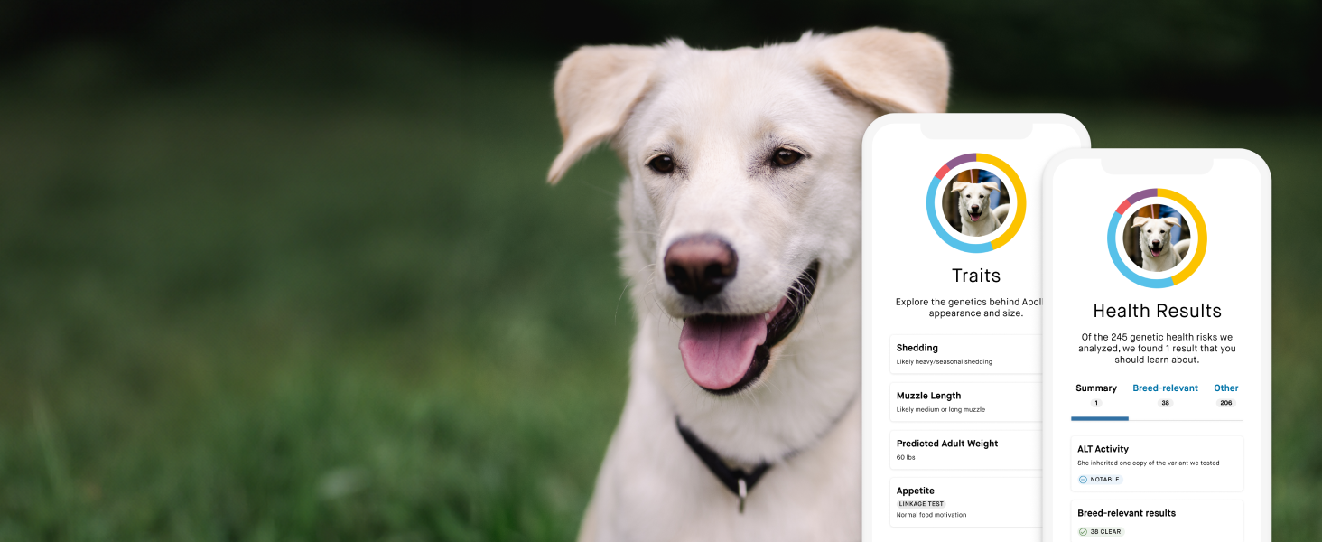 EMbark test health screening