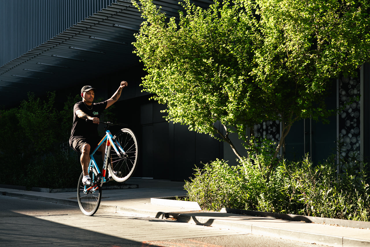 6061 Black Label v3 - Le Mans Livery、mySite、bearsvspackers