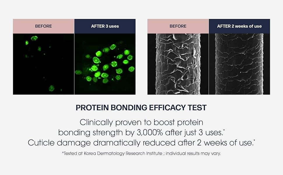 Cuticle, boost protein, bonding efficacy