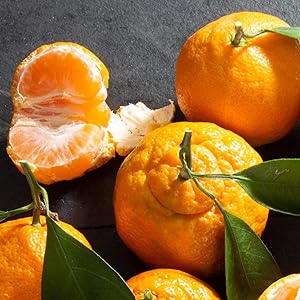 Mandarins