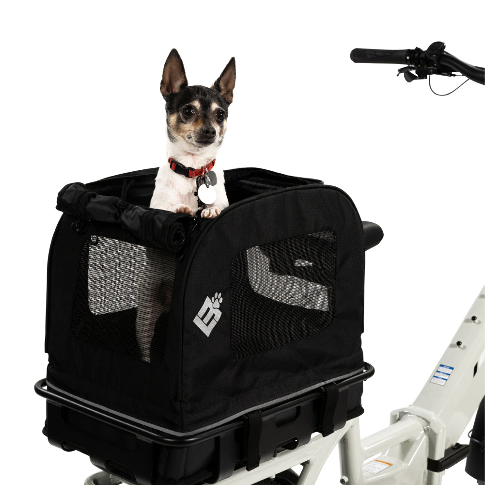 Small Pet Carrier、mySite、bearsvspackers