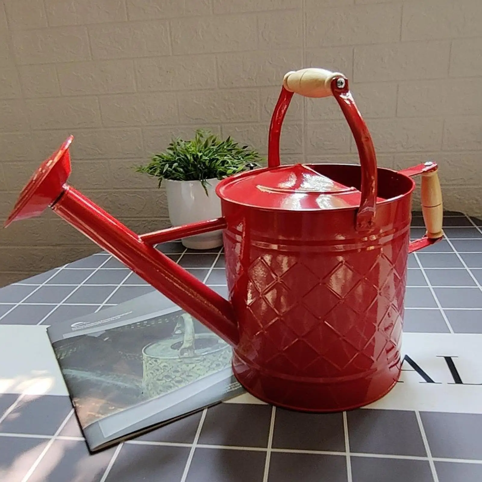Metal Watering Can Rustproof Large Capacity Leakproof Ergonomic Handle 3.5L