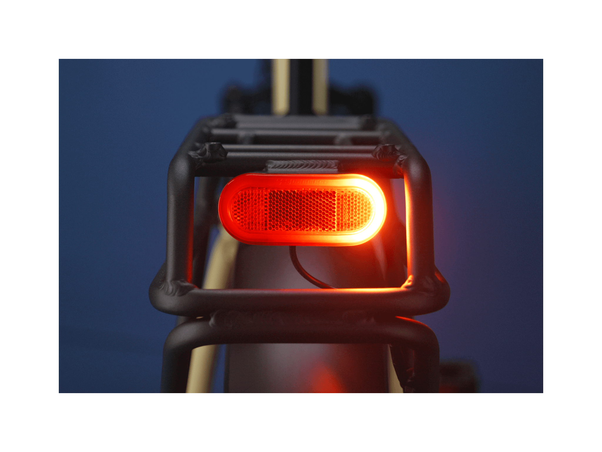 RadExpand™ 5 Plus Electric Folding Bike、mySite、bearsvspackers