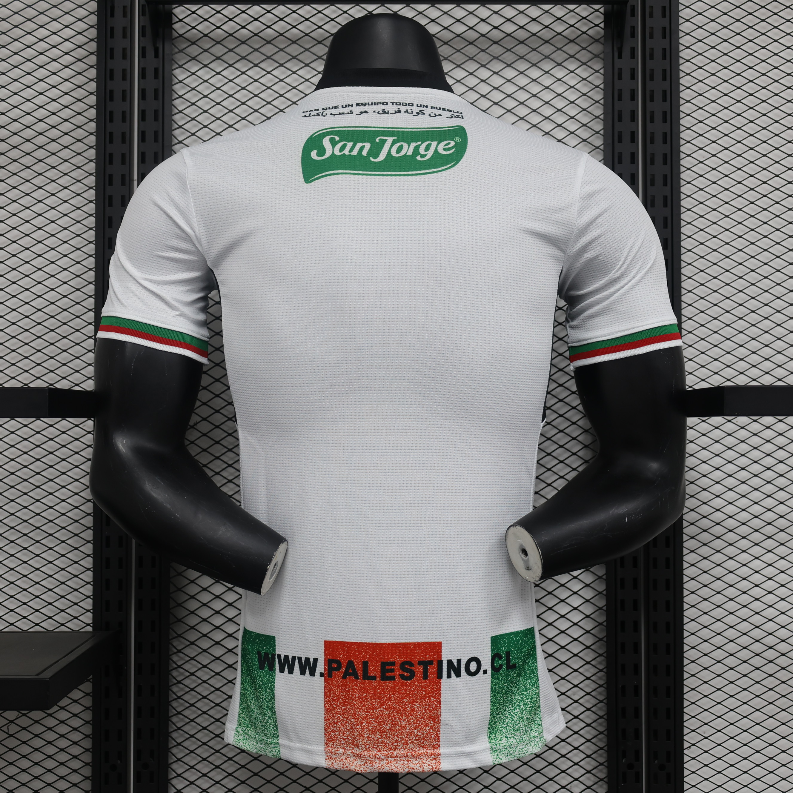 ManixJersey.com | Club Deportivo Palestino 2024 Home Jersey - Player Version -Customize Name, Number and Patch | Worldwide Shipping